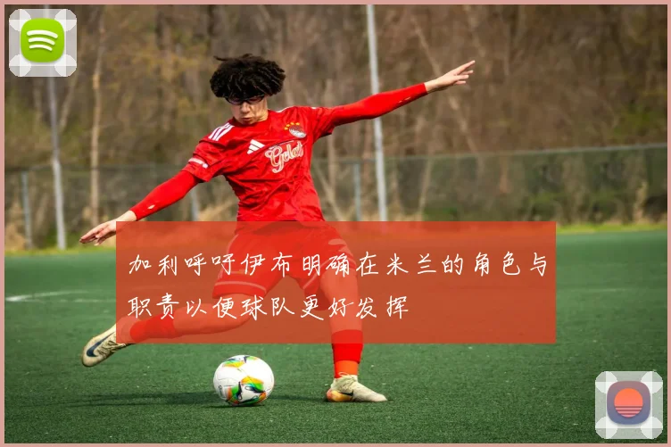 加利呼吁伊布明确在米兰的角色与职责以便球队更好发挥